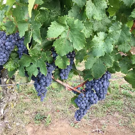 Bon Accueil, 3 Etoiles, 49 *