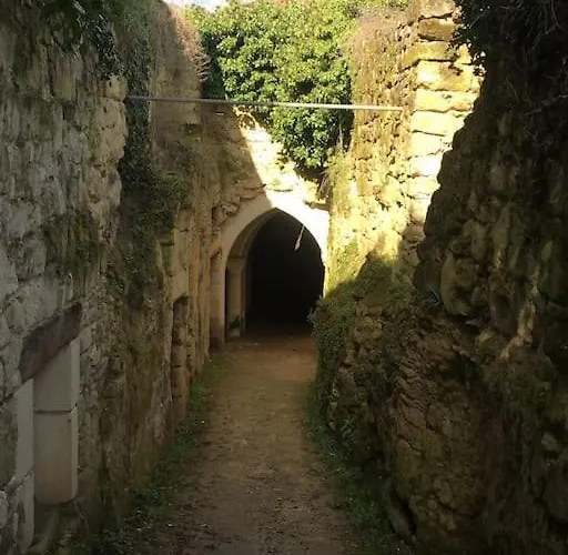 Bon Accueil, 3 Etoiles, 49 度假居 *